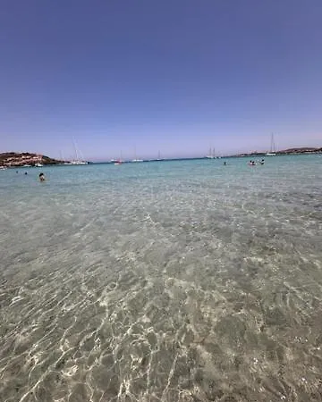Rudargia 2