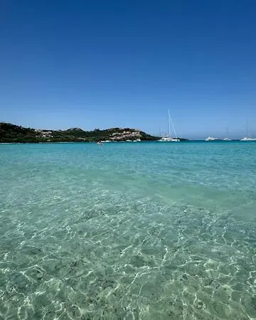 Rudargia 2 *